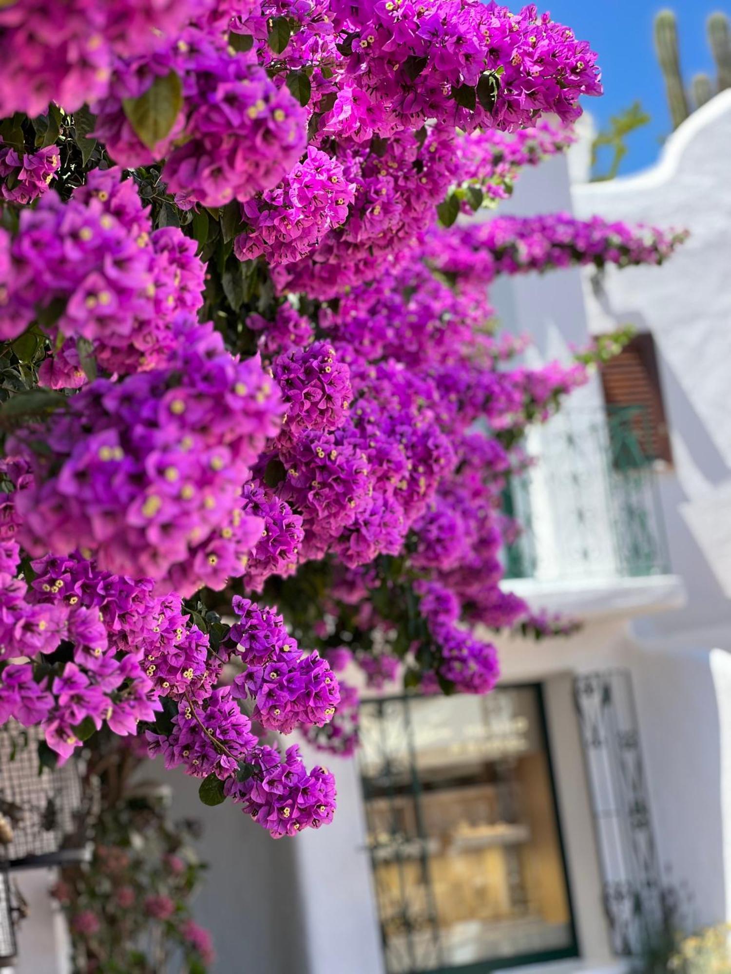 Boutique Hotel Solaz Porto Rafael Ngoại thất bức ảnh